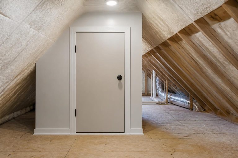 Attic Bee Removal